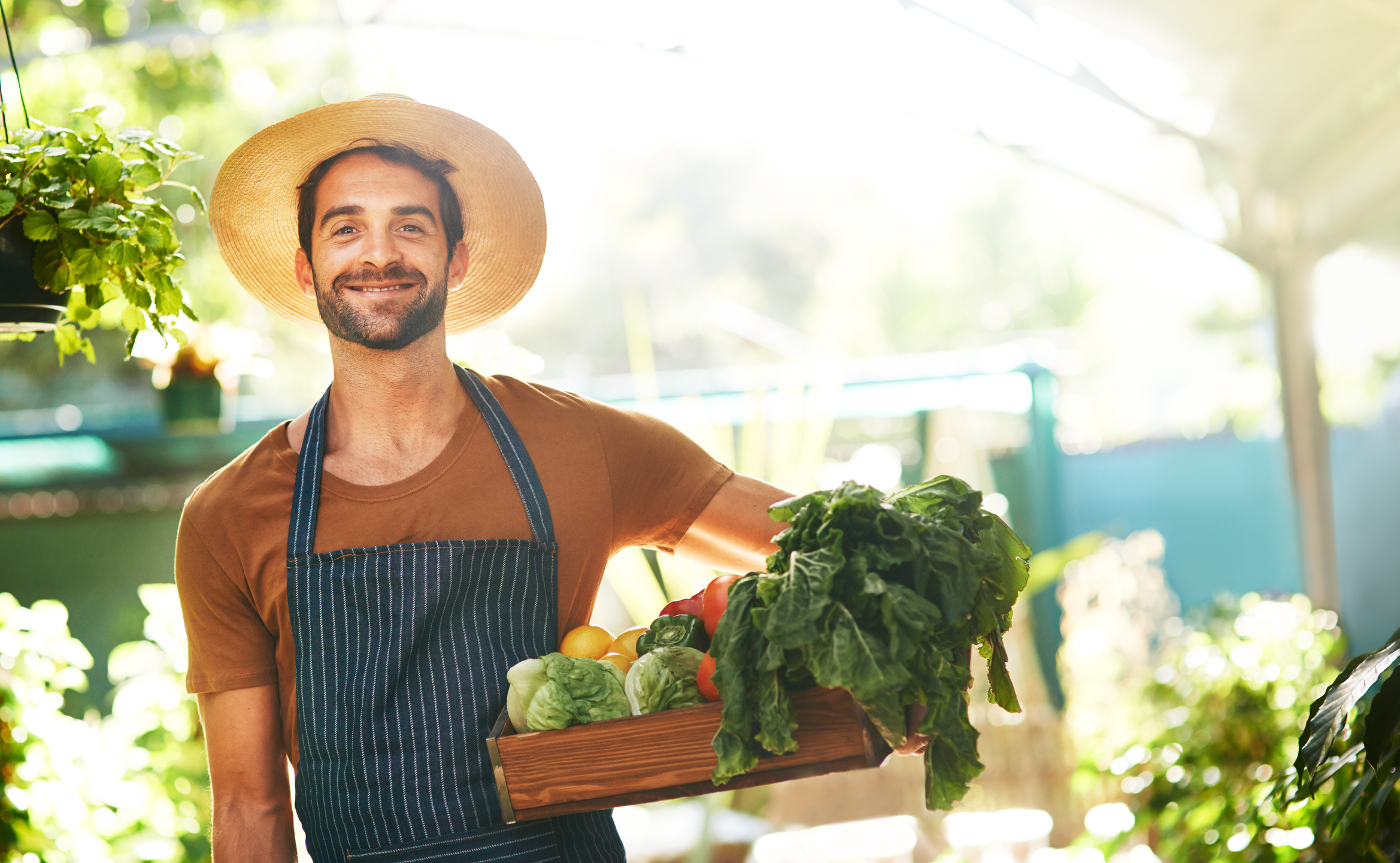 Grown locally, grown organically